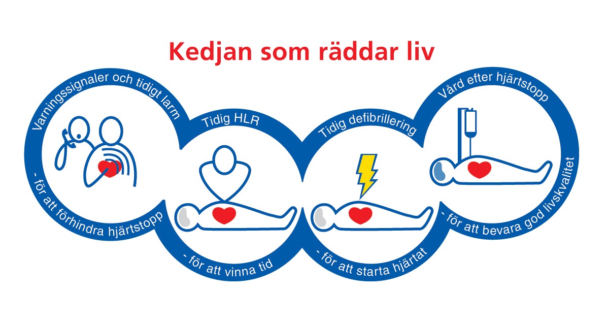 Nyhetsbrev augusti